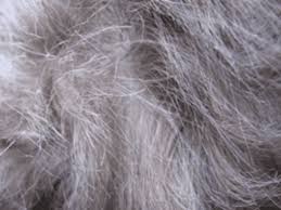 Hair primarily turns grey when melanocytes around hair follicle decrease or stops production of combination of amla and henna is probably the best home remedy to cure greyness. How To Cover Grey Hair 10 Natural Gray Hair Remedies Hubpages