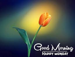 Happy Monday Good Morning Wishes With Flowers 2022