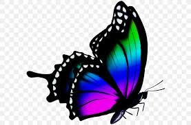 This is intended to be a mostly serious set of reference pages for locating information, applications and programming code related to. Watercolor Butterfly Background Png 600x539px Watercolor Black Blue Brushfooted Butterflies Brushfooted Butterfly Download Free