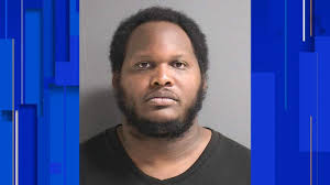 WATCH: Volusia Sheriff helps arrest man accused of driving off from traffic  stop