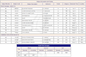 Comepleting My First Year At Seneca College Global