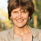 DMZ국제다큐멘터리영화제