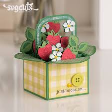 Download Box Cards Svg Kit 8 99 Svg Files For Cricut Silhouette Sizzix And Sure Cuts A Lot Svgcuts Com
