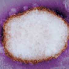 We did not find results for: What Is Monkeypox The Rare Virus That Has Turned Up In The U K