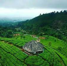 Objek wisata kota majalengka (jawa barat) ». Perkebunan Teh Yang Asri Ulasan Kebun Teh Cipasung Majalengka Indonesia Tripadvisor