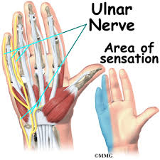 In addition, depending on the tendon that is inflamed, the. Wrist Anatomy Eorthopod Com