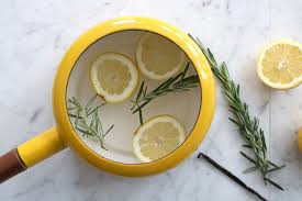 Harga jus bawang putih tunggal, jahe merah, cuka apel, lemon dan madu. 5 Resep Daun Mint Ini Bakal Bikin Hari Harimu Semangat Fresh Terus