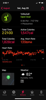 1500 calorie, vegetarian eating plan. I Always Felt Volleyball Doesn T Burn Much Calories But Here S My Experience Applewatchfitness