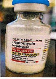 Image result for Daptomycin