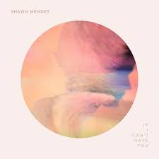 Shawn Mendes If I Cant Have You Sarki Sozleri Shawn Mendes Album Shawn Mendes Songs Shawn Mendes