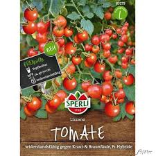 Wir zeigen wie das beliebte fruchtgemüse im eigenanbau gedeiht. Cherry Buschtomate Lizzano Lycopersicon Lycopersicum Tomaten Garten Schluter