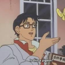 If you really like it then please share it with your all friends. Is This A Meme The Confused Anime Guy And His Butterfly Explained Vox