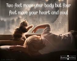 Two Feet Move Your Body Four Feet Move Your Soul Ramblingsoftheclaury On Twitter Reflection Quotes Paw Quotes Foot Quotes