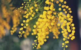 Pin On Floral Inspiration Summer