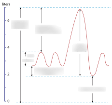 Image result for Vital Capacity