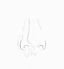 I will show you how to draw and sketch a nose with an easy beginner's step by step. Pencil Portrait Drawing How To Draw A Nose