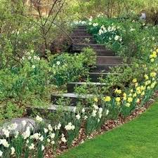 Escalier De Jardin En Boisjardin De Berchigranges L Hego Rustica Landscaping On A Hill Steep Hill Landscaping Garden Stairs
