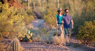 However, many palms are suitable for dry, arid conditions of arizona and other southwestern states. Sonoran Desert Wildlife Desertusa