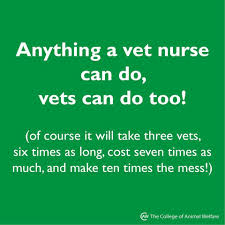 See more ideas about veterinary humor, veterinary, vet tech humor. Well Perhaps Not Every Vet Erm P Vet Tech Quotes Vet Tech Humor Tech Humor