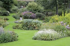 Pflegeleichter Garten Welche Pflanzen Passen