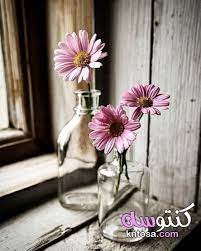 خلفيات ورود جميلة جدا اجمل خلفيات ورودرومانسيه still life flowers flowers photography rock flowers