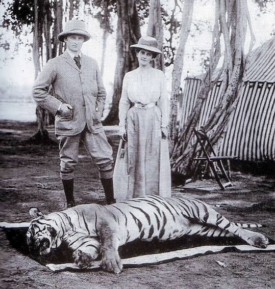 24 Tiger hunting in india Images: PICRYL - Public Domain Media Search Engine Public Domain Search