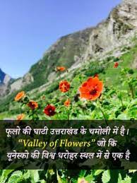The color of marigold flowers could differ from yellow to golden. Facts About Uttarakhand In Hindi à¤‰à¤¤ à¤¤à¤° à¤– à¤¡ à¤• à¤¬ à¤° à¤® à¤° à¤šà¤• à¤¬ à¤¤