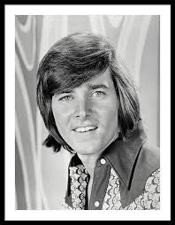 Bobby Sherman Framed Art Prints for Sale