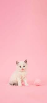 See more ideas about girly art, art wallpaper, art girl. 31 Hd Girly Iphone Wallpapers For Iphone 12 11 Xs Xr X 8 7 6