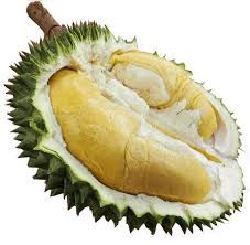 Download durian runtuh.apk diupload dudung99 pada 22 september 2020 di folder apk 8.55 mb. Durian Runtuh