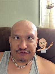 Is Outback Steakhouse in Idaho Falls any good?