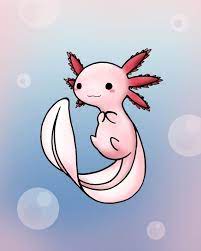 Search images from huge database containing over 1,250,000 drawings. Chibi Axolotl By Havenrelis On Deviantart Axolotl Cute Cute Cartoon Drawings Animal Drawings