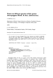 Image result for Anisopappus paucidentatus