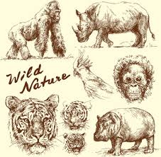 Check spelling or type a new query. Hand Drawing Wild Animals Free Vector Download 101 391 Free Vector For Commercial Use Format Ai Eps Cdr Svg Vector Illustration Graphic Art Design