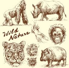 You will soon experience that it is easy to draw animals. Hand Drawing Wild Animals Free Vector Download 101 409 Free Vector For Commercial Use Format Ai Eps Cdr Svg Vector Illustration Graphic Art Design