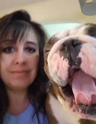 I love English Bulldogs