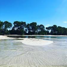 Magnifique Lac De Cazaux Et Sanguinet Crique Foret Pin Plage Beach Lac Cazaux Sanguinet Gironde Leslandes Beautif Places To Visit Beach Instagram