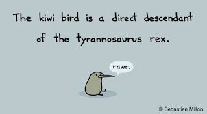 Facxinh Jpg 640 355 Bones Funny Rawr Funny Quotes