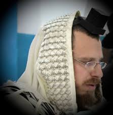 Now how to bring them back home?