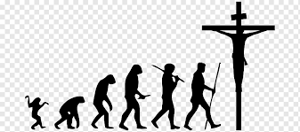 March of Progress Ape Homo sapiens Human evolution, others ...