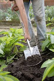 Check spelling or type a new query. Digging And Planting Essential Garden Tools