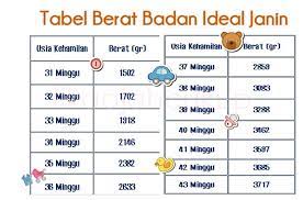 Nah itulah daftar 10 peringkat susu penambah berat badan bayi dalam kandungan yang paling bagus. Tikaajahcukup Berat Badan Ideal Janin