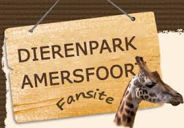 Je hoeft helemaal niet netjes over de bezoekerspaden te lopen. Dinopark In Dierenpark Amersfoort Ruim 70 Levensechte Dinosaurussen