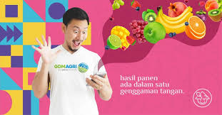 Karena itu, menurut singgih, meskipun harga ayam sudah mulai stabil atau berada di atas harga referensi pemerintah saat ini, keuntungan yang didapatkan peternak tidak terlalu tinggi. Cek Harga Ayam Broiler Hari Ini Langsung Dari Peternak Aplikasi Pertanian Media Agribisnis Gdm Agri