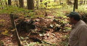 You may be able to use a metal detector in a state park with the permission of the park manager. Metal Detecting In Virginia Know The Law
