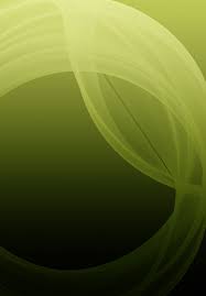 Nanoelectronic Materials, Devices and Modeling