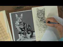 Below you'll find a collection of step by step tutorials on drawing animals. Preview Keys To Drawing Realistic Animals With Claudia Nice Youtube