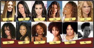 Hair Type Chart What Is Your Hair Type