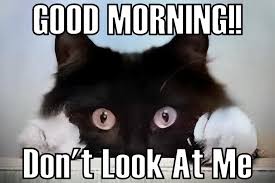 105 Of The Funny Good Morning Memes And Images To Cheer You Up Tailpic