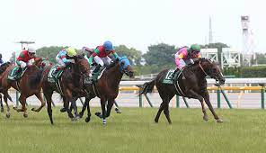 指定席予約してみます。 やっぱり jraカードの人のが優先されるよなぁ どのくらいの割合なんやろ。 昨日ラジオから流れた曲。 1234コロナ. ãƒ¬ãƒ¼ã‚¹ã«ã¤ã„ã¦ ã‚¨ãƒ—ã‚½ãƒ ã‚«ãƒƒãƒ— ä»Šé€±ã®æ³¨ç›®ãƒ¬ãƒ¼ã‚¹ Jra